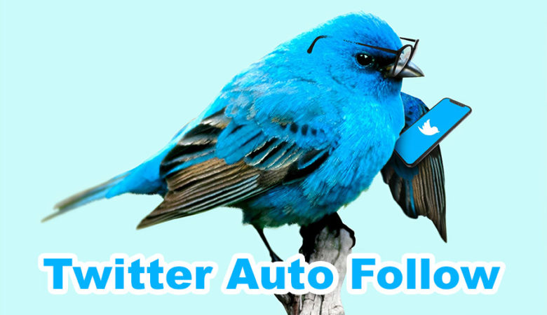 How to Auto-Follow Multiple Twitter Accounts at Once